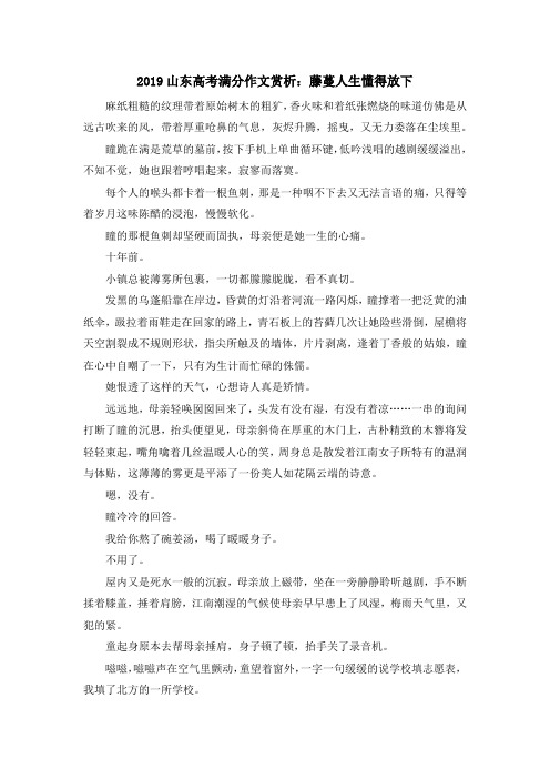 最新-2019山东高考满分作文赏析 藤蔓人生懂得放下 精