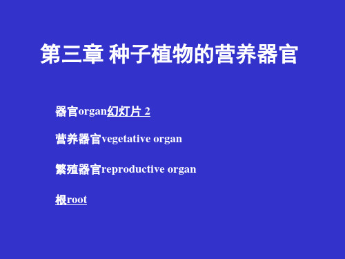 植物学课件：第三章 种子植物的营养器官