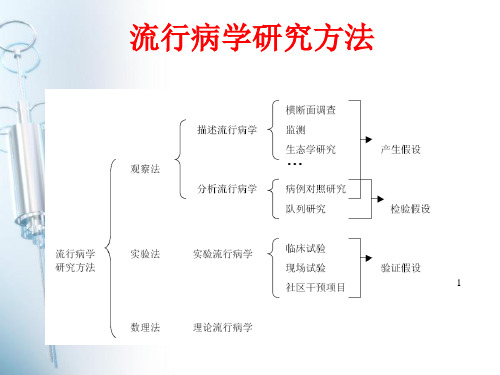 实验性研究