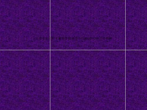 云南省农业野生植物资源调查项目2010年7种主要物种