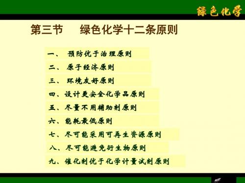 安徽师大绿色化学02十二条原则要点