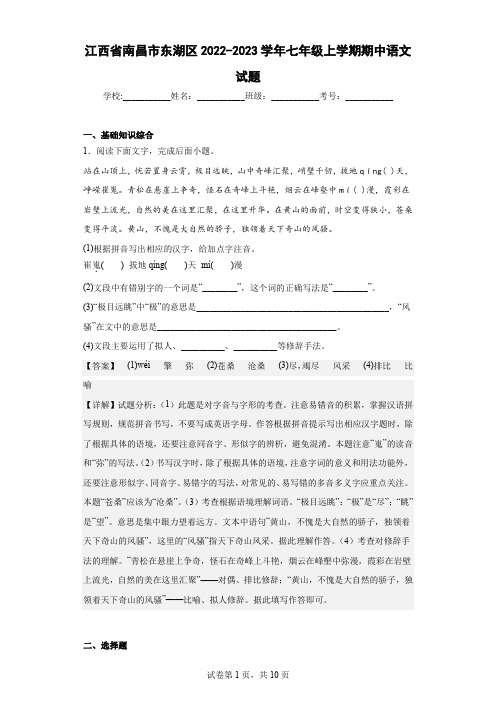 江西省南昌市东湖区2022-2023学年七年级上学期期中语文试题(含解析)