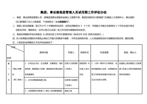 集团高层试用期的评估方案(根据3月10日专题会)(1)