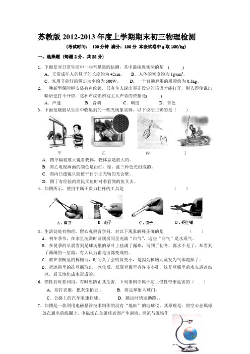 苏教版2012-2013年度期末初三物理检测