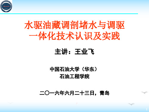 水驱油藏调剖堵水与调驱