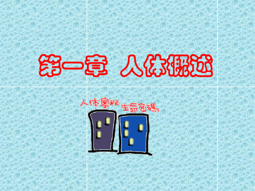 安利纽崔莱营养大全-人体系统