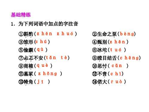 高一语文我的五样1(PPT)5-4