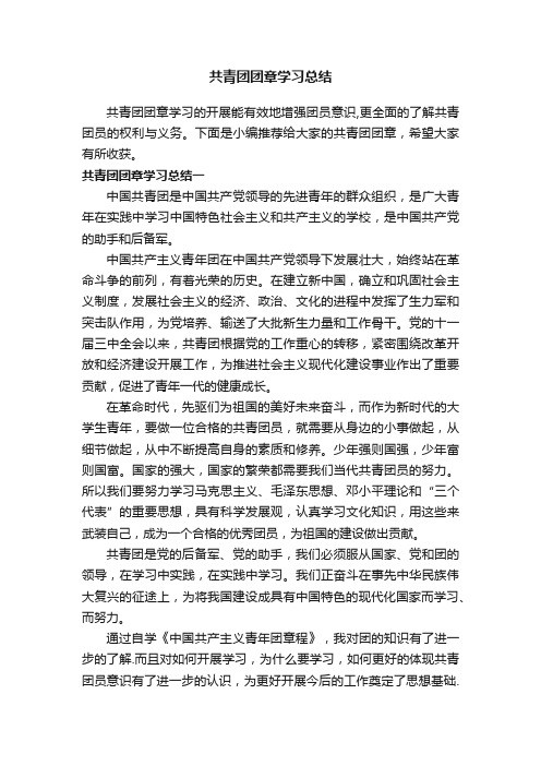 共青团团章学习总结