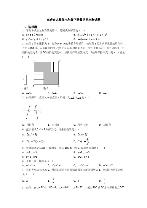 东营市人教版七年级下册数学期末测试题