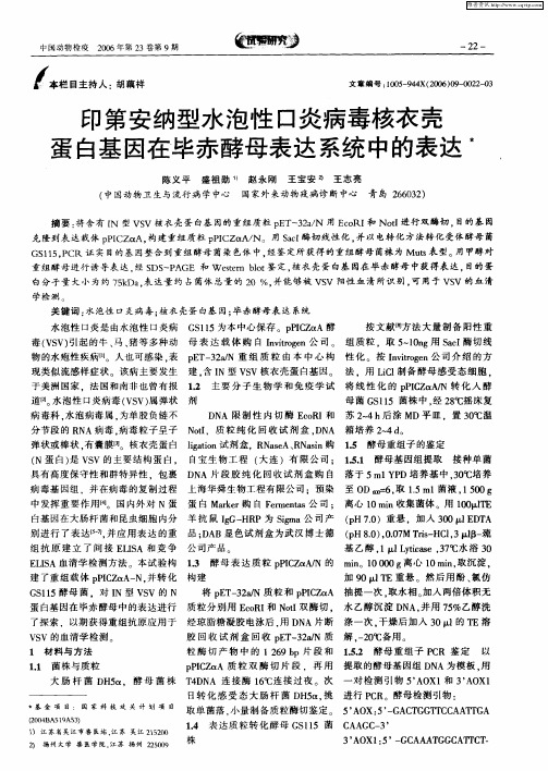 印第安纳型水泡性口炎病毒核衣壳蛋白基因在毕赤酵母表达系统中的表达