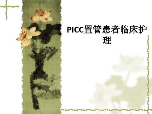 PICC置管患者临床护理ppt课件