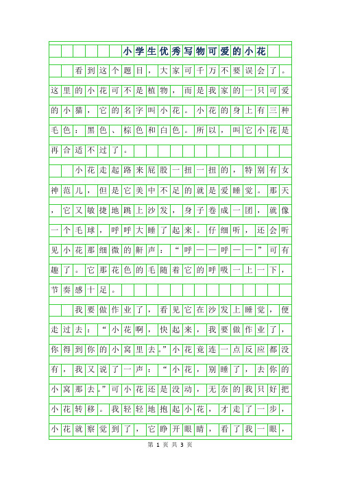 2019年小学生优秀写物作文-可爱的小花