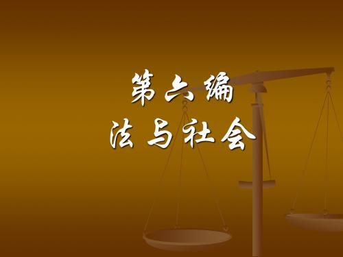 【法理学】第六编法与社会