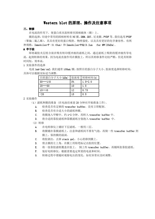 Western_blot的操作及注意事项