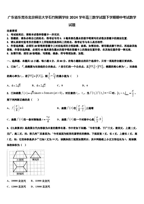 广东省东莞市北京师范大学石竹附属学校2024学年高三数学试题下学期期中考试数学试题