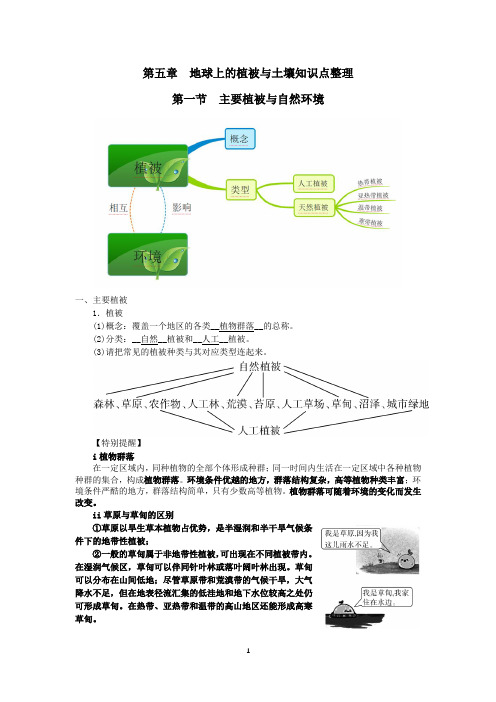 第五章地球上的植被与土壤知识点整理