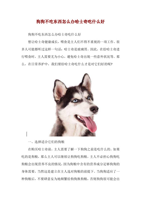 狗狗不吃东西怎么办哈士奇吃什么好