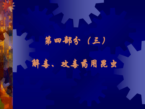 第四部分(三),解毒、攻毒药用昆虫