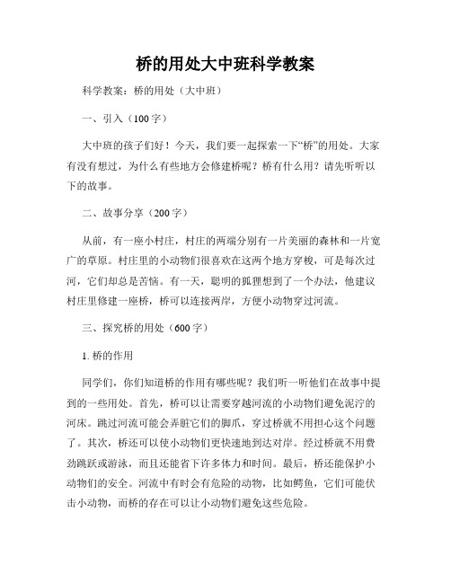 桥的用处大中班科学教案