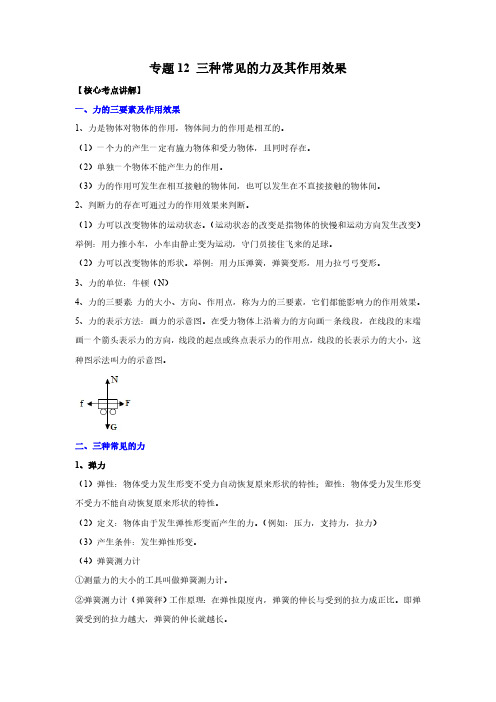 (中考物理必刷题)专题12 三种常见的力及其作用效果(解析版)