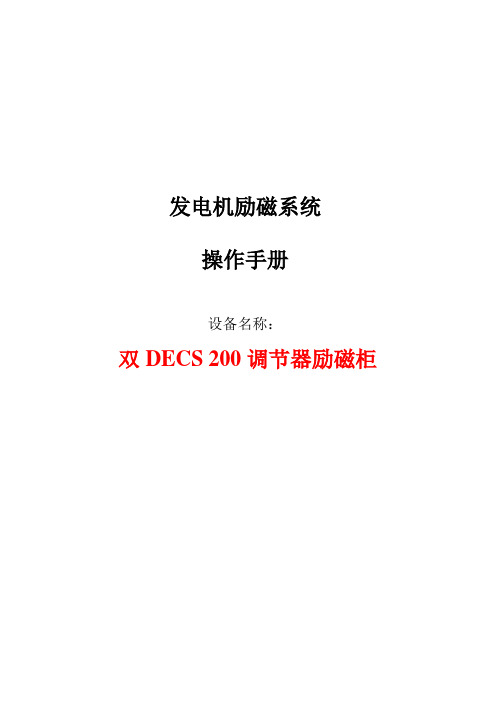 中文双DECS 200柜体说明手册