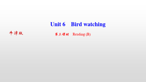 Unit 6 Bird watching 第三课时 Reading (B)牛津译林版英语八年级上册