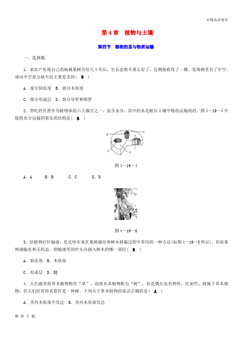 精品2019年八年级科学下册 期末复习 第4章 第四节 植物的茎与物质运输练习题 (新版)浙教版