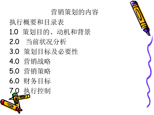 营销策划实例1精品PPT课件