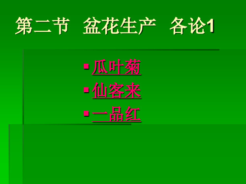 盆花生产各论安祖花