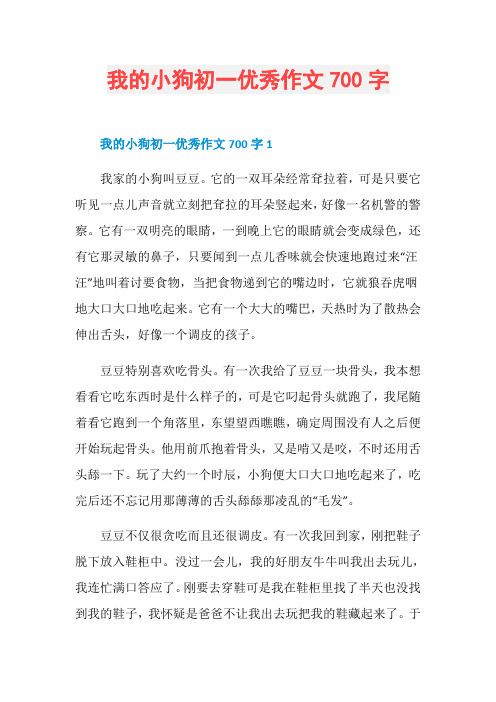 我的小狗初一优秀作文700字