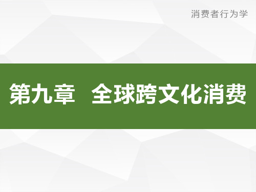 第9章 全球跨文化消费消费者行为学导论卢泰宏