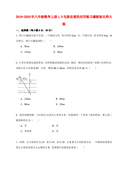 2019-2020年八年级数学上册1.3勾股定理的应用练习题新版北师大版(最新整理)