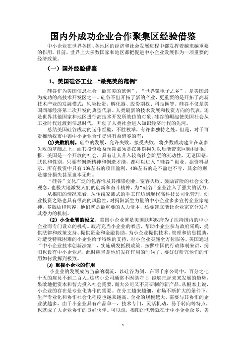 国内外成功企业合作聚集区经验借鉴4