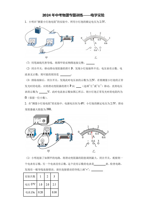 2024年中考物理专题训练——电学实验(有解析) (2)