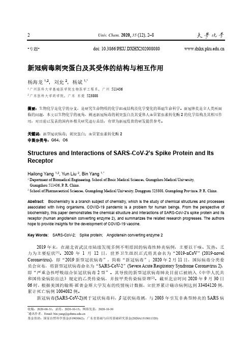 新冠病毒刺突蛋白及其受体的结构与相互作用