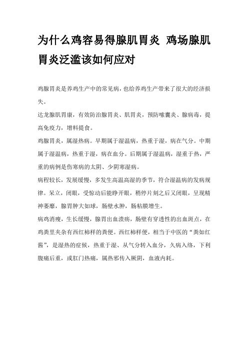 为什么鸡容易得腺肌胃炎 鸡场腺肌胃炎泛滥该如何应对