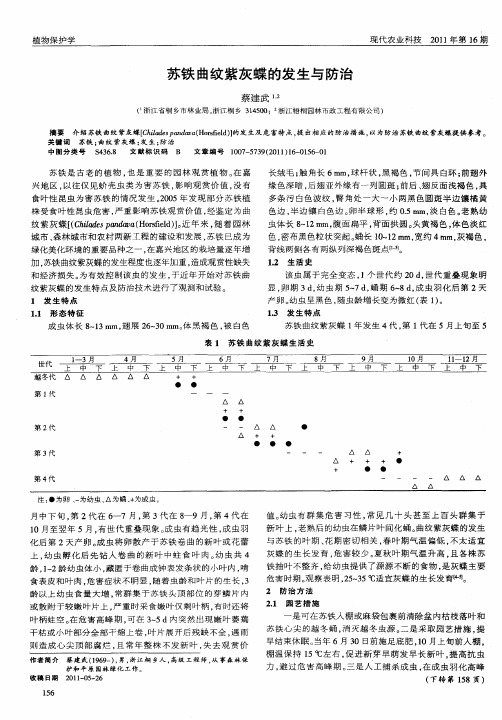 苏铁曲纹紫灰蝶的发生与防治