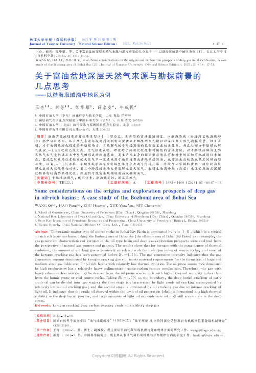 关于富油盆地深层天然气来源与勘探前景的几点思考——以渤海海域渤中地区为例