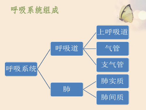 肺功能检查的操作流程目的及注意事项