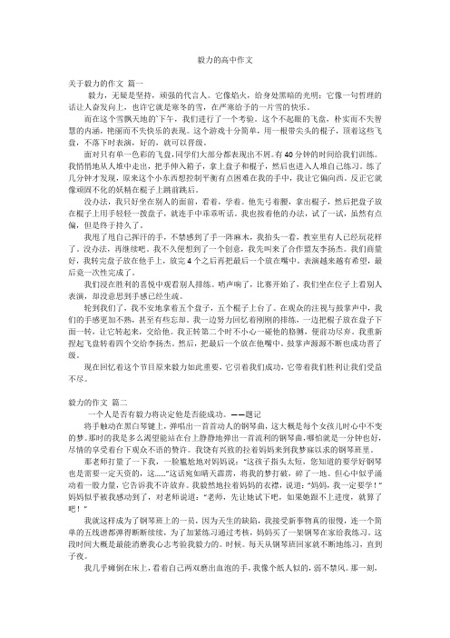 毅力的高中作文