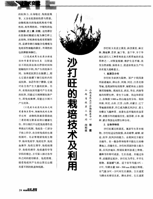 沙打旺的栽培技术及利用