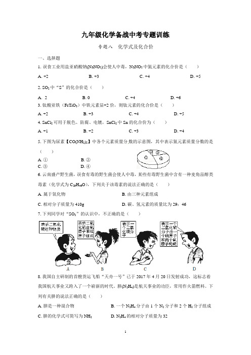 (清晰版)九年级化学备战中考专题训练八： 化学式及化合价(附答案)