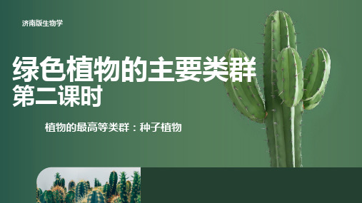 2.1.1 绿色植物的主要类群(第二课时)-2023-2024学年七年级上册生物同步课件(济南版)