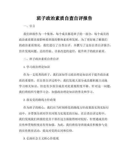 班子政治素质自查自评报告