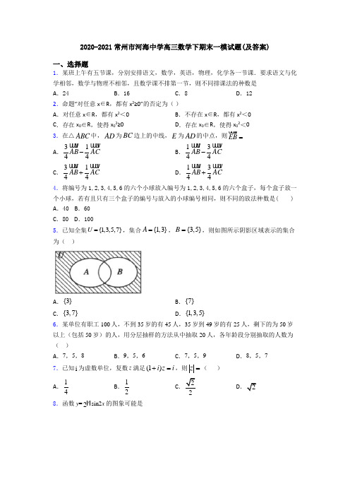 2020-2021常州市河海中学高三数学下期末一模试题(及答案)