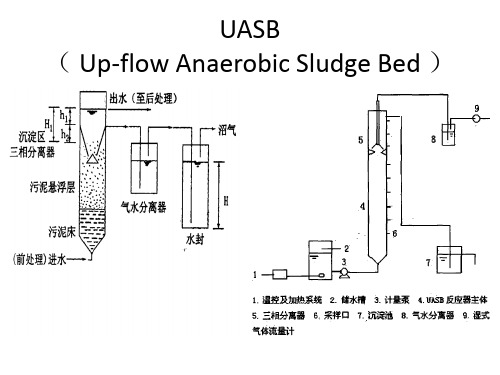 ppt  UASB