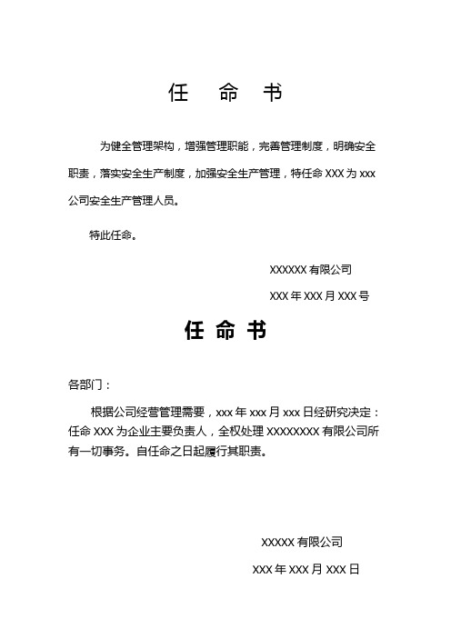 安全员、主要负责人任命书模板