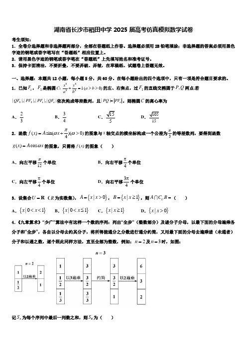 湖南省长沙市稻田中学2025届高考仿真模拟数学试卷含解析