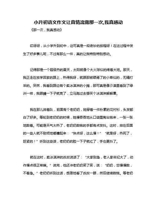 小升初语文作文让真情流露那一次,我真感动