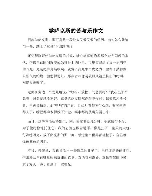 学萨克斯的苦与乐作文